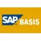 SAP BASIS VIDEO TRAINING @ $ 75