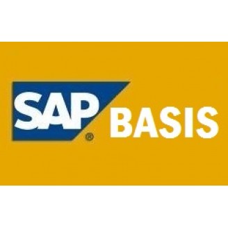 SAP BASIS TRAINING WITH ACCESS @ 99$