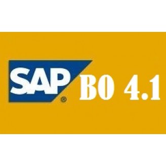 SAP BO 4.1 Training Videos @ 99$