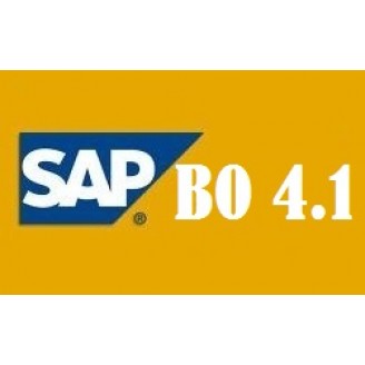 SAP BO 4.1 Training Videos With Access @ 120