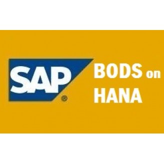 SAP BODS ON HANA VIDEOS WITH ACCESS