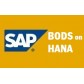 SAP BODS ON HANA VIDEOS @ 99