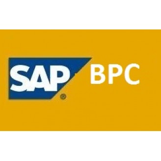 SAP BPC 10 TRAINING VIDEOS @ 99 $