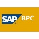 SAP BPC 10  BUY 1 GET 2 FREE