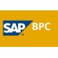 SAP BPC 10  BUY 1 GET 2 FREE