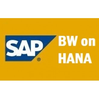 SAP BW 7.4 ON HANA Training Videos @ 89 USD