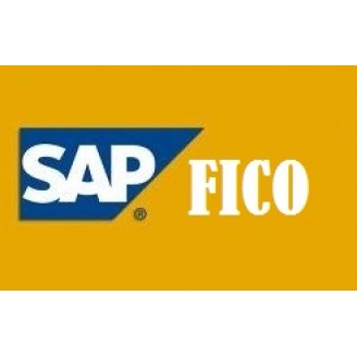 SAP FICO   -  BUY ANY 3 VIDEOS