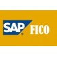 SAP FICO   -  BUY ANY 3 VIDEOS