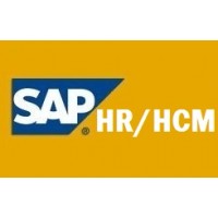 SAP HR TRAINING VIDEOS  @ 99$