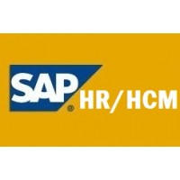 SAP HR TRAINING VIDEOS @ 55