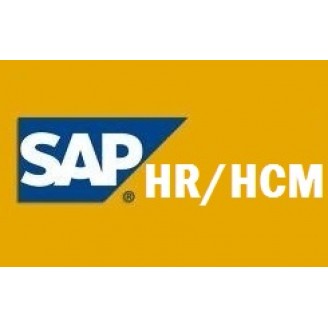 SAP HR TRAINING VIDEOS @ 55