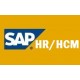 SAP HR TRAINING VIDEOS  -  BUY ANY 3 VIDEOS