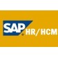 SAP HR TRAINING VIDEOS  -  BUY ANY 3 VIDEOS