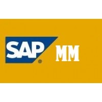 SAP MM  EHP6 SERVER ACCESS