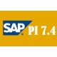 SAP PI 7.4  TRAINING VIDEOS 99$