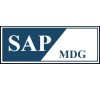 SAP MDG TRAINING VIDEOS COURSE