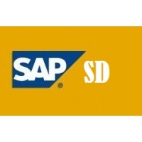 SAP SD Course -  BUY 1 GET 2 FREE