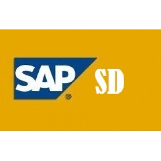 SAP SD Course -  BUY 1 GET 2 FREE