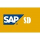 SAP SD Course -  BUY 1 GET 2 FREE