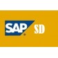 SAP SD Course -  BUY 1 GET 2 FREE