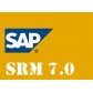 SAP SRM TRAINING VIDEOS   -  BUY ANY 3 COURSES
