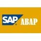 SAP ABAP Training Videos -  BUY 1 GET 2 FREE