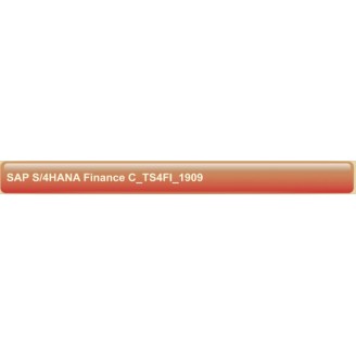 C_TS4FI_1909 SAP S/4HANA for Financial Accounting Associates